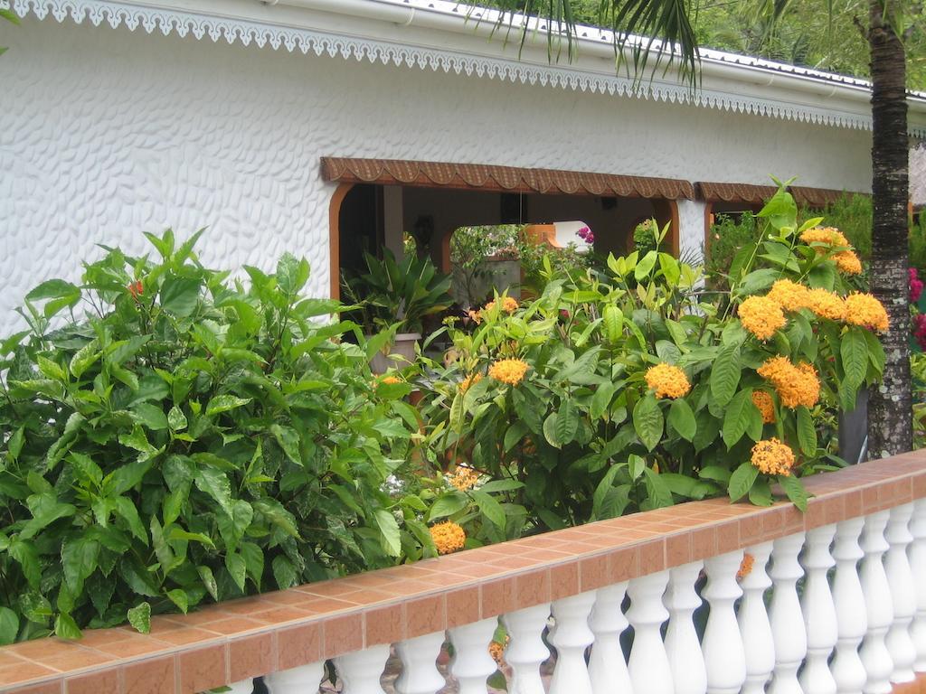 Villa Milou *